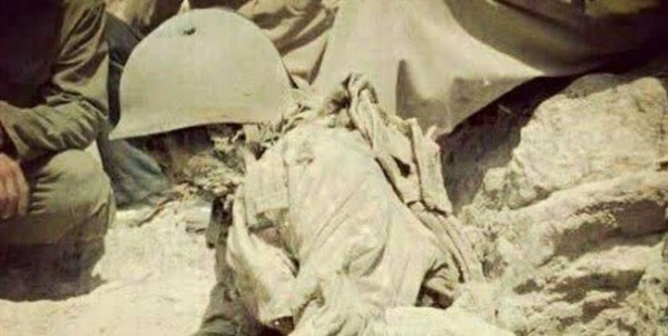 تفحص