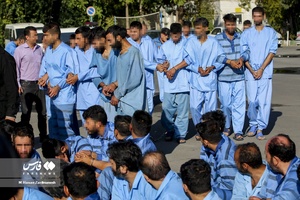 طرح دستگیری سارقین