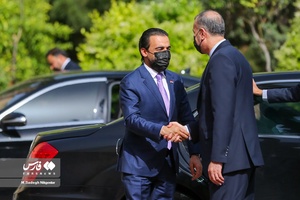دیدار رئیس پارلمان عراق با امیرعبداللهیان