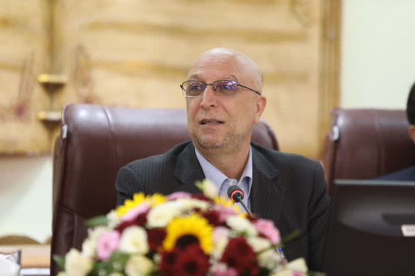 محمدعلی زلفی گل