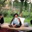 تصویر نمایه‌ی ‌محمد مهدی محلوجی‌