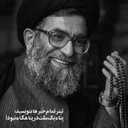 تصویر نمایه‌ی ‌نیلوفر محبی‌