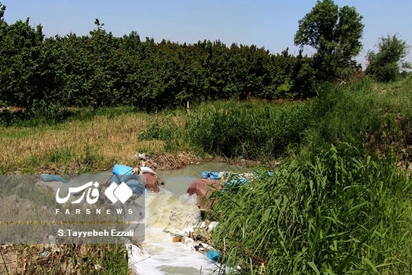 پساب خروجی از مدول سیستم تصفیه‌خانه فاضلاب شهر قدس 