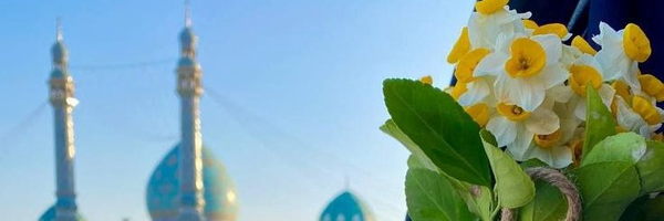 تصویر سربرگ نمایه‌ی ‌فریبا ظهرابی فیروز آباد‌