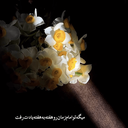 تصویر نمایه‌ی ‌9**1704‌