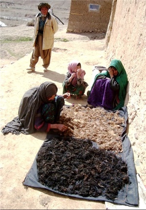 صنایع دستی افغانستان