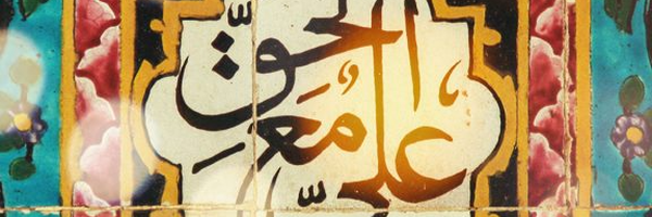 تصویر سربرگ نمایه‌ی ‌امیررضا نادری‌