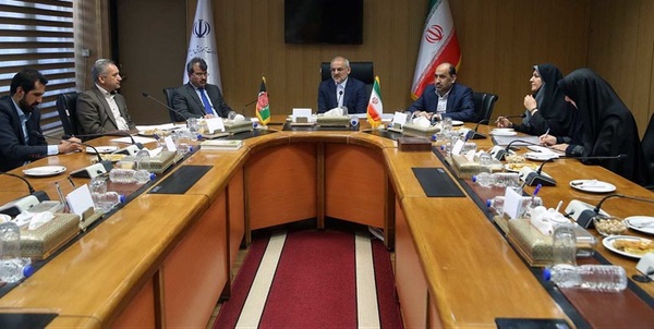 وزری و سفیر