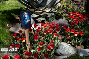 باغ گل‌های لاله چمران از جاذبه‌های شگفت‌انگیز در فصل بهار است که معمولا از فروردین هرسال آغاز و تا نیمه‌های اردیبهشت ادامه دارد.