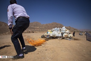 ۴ تن مواد مخدر در پارک کوهستان سمنان و در فضای گسترده امحا شد
