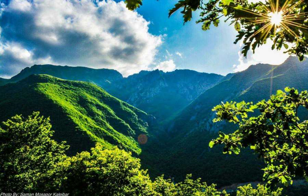 جنگل های ارسباران