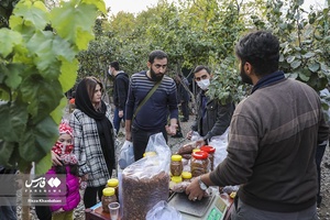 عرضه محصولات فرآوری شده از میوه هیوا(به) در دومین جشنواره هیوا(به)گیوی