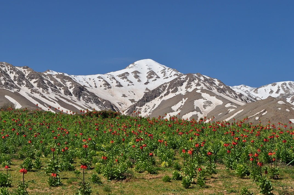 دیدنی‌های فریدونشهر