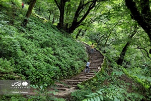 «قلعه رودخانِ» گیلان