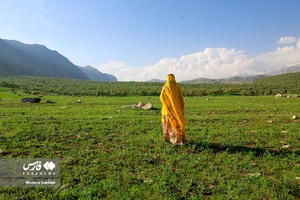طبیعت بهاری «بازفت»