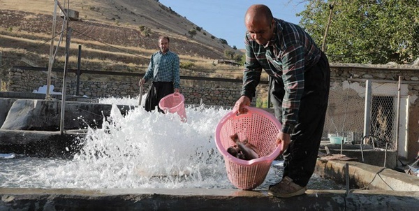 بنیاد برکت