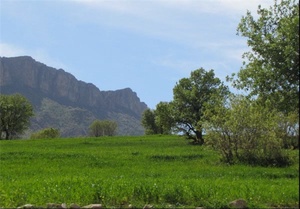 گردشگری