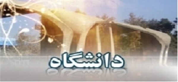 دانشگاه