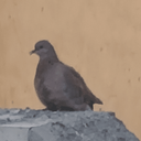 تصویر نمایه‌ی ‌یاکریم کاظمی ۳‌