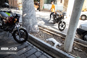 روز های داغ