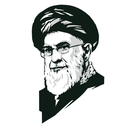 تصویر نمایه‌ی ‌محمدرضا شیرمحمدی‌