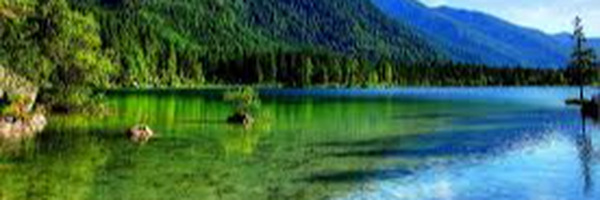 تصویر سربرگ نمایه‌ی ‌لیلا حسین‌زاده‌