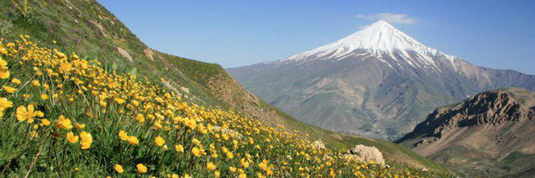 تصویر سربرگ نمایه‌ی ‌آمنه شیرازی‌