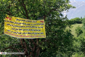 دریاسر دشتی به زیبایی بهشت