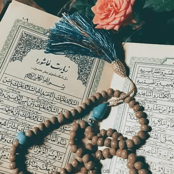 کارشناس مذهبی مدرسه علمیه تخصصی الزهرا (س) ساری