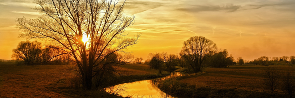 تصویر سربرگ نمایه‌ی ‌iran_love‌