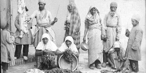 سیب زمینی