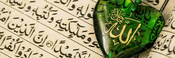 تصویر سربرگ نمایه‌ی ‌Elnaz Allahyari‌