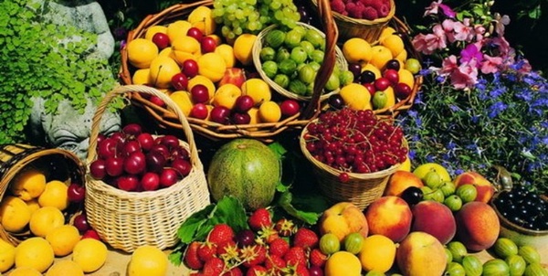محصول کشاورزی