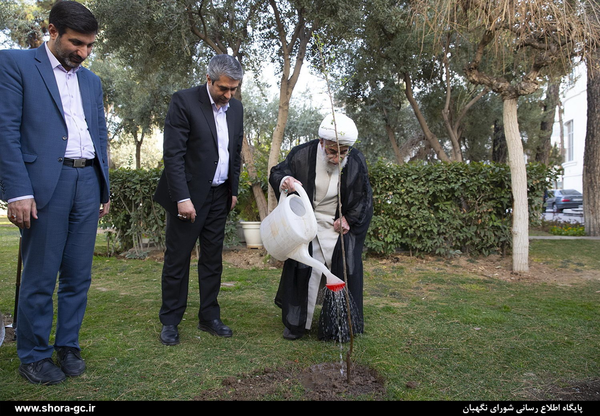 جنتی درختکاری