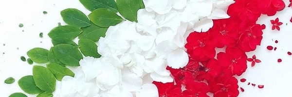 تصویر سربرگ نمایه‌ی ‌9**4882‌