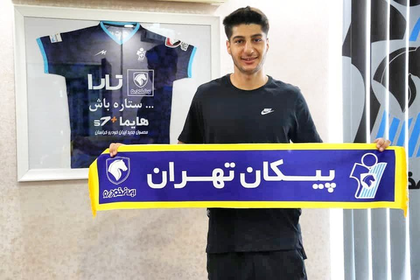 محمد مهدی محبی، محبی