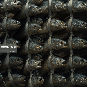 برگزیده بخش اشیا