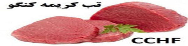 تب کریمه کنگو
