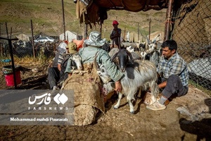 عشایر دشت لار