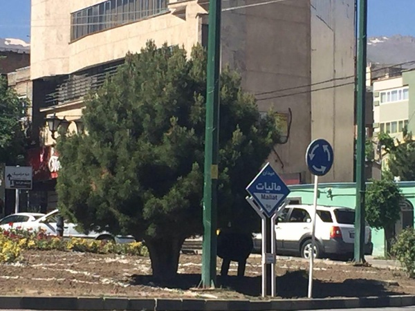 ميدان بيمه