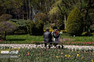 علاقمندان به گل و گیاه  در باغ گل لاله چمران مشغول گرفتن عکس یادگاری هستند.