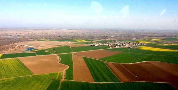 کشت و صنعت مغان