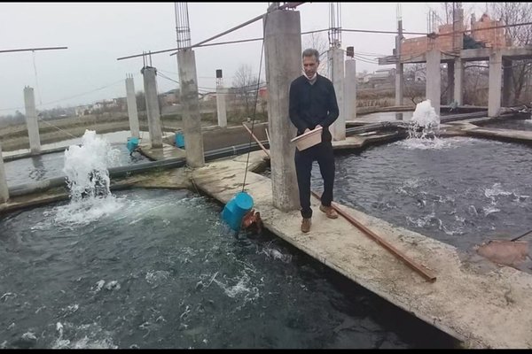 کارآفرین