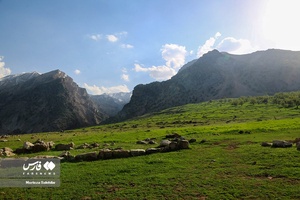 طبیعت بهاری «بازفت»