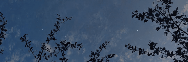 تصویر سربرگ نمایه‌ی ‌Spark‌