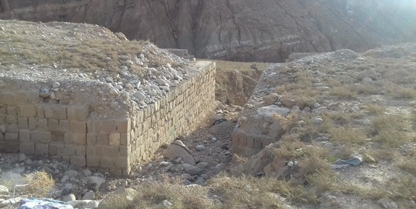 پل روستای دلی