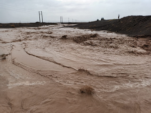 گاوخونی