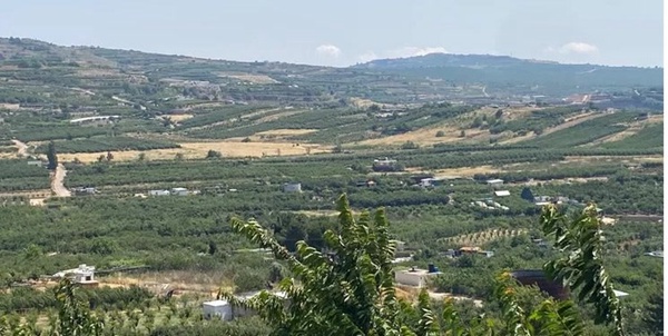 کشاورزی اسرائیل