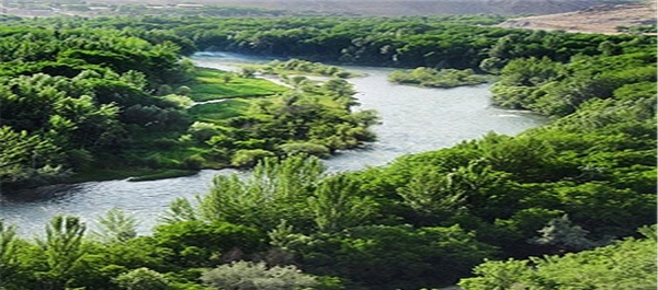 زاینده رود