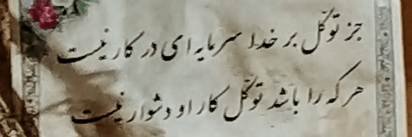 تصویر سربرگ نمایه‌ی ‌فائزه رضائی‌